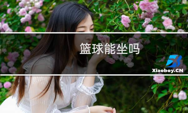篮球能坐吗图片