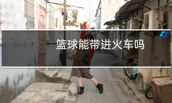 篮球能带进火车吗图片