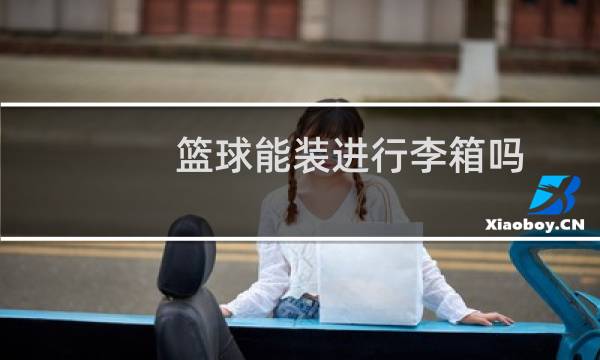篮球能装进行李箱吗图片