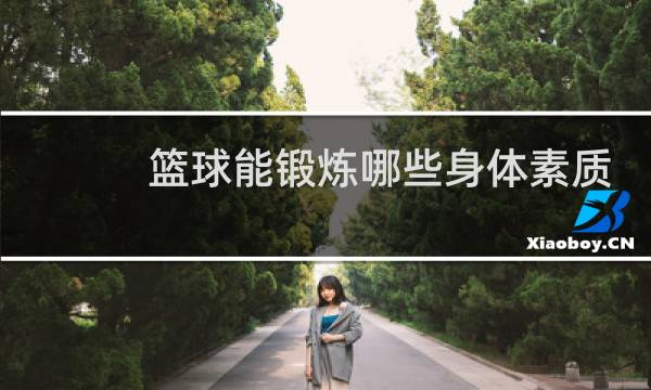 篮球能锻炼哪些身体素质图片