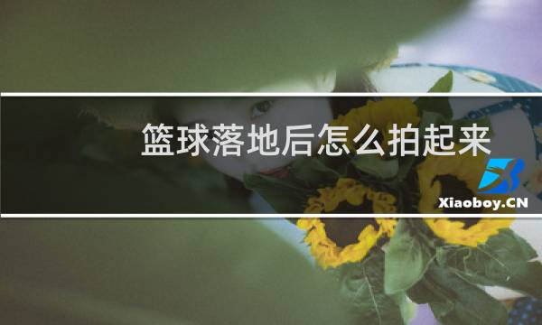 篮球落地后怎么拍起来图片