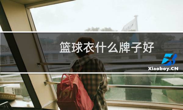 篮球衣什么牌子好图片