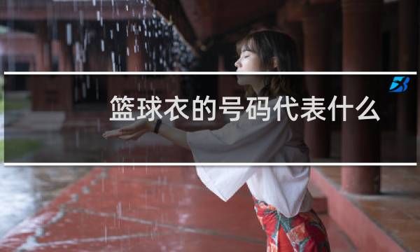 篮球衣的号码代表什么图片