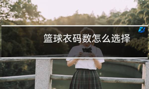 篮球衣码数怎么选择图片