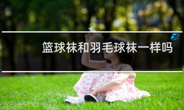 篮球袜和羽毛球袜一样吗图片