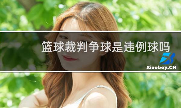 篮球裁判争球是违例球吗图片