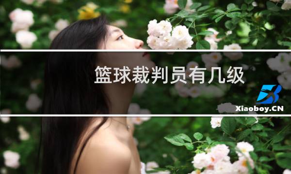 篮球裁判员有几级图片