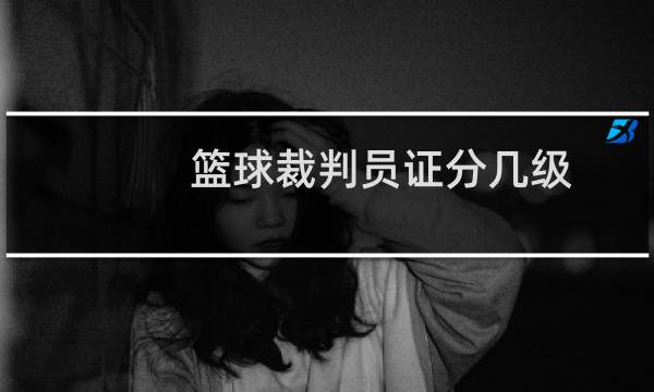 篮球裁判员证分几级图片