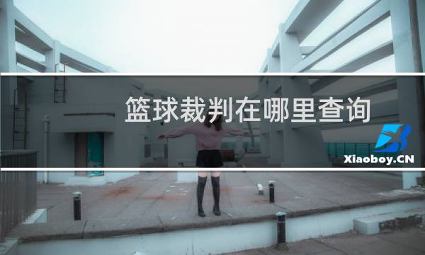 篮球裁判在哪里查询图片