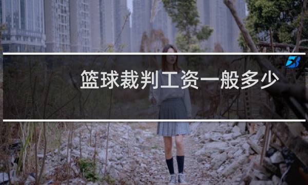 篮球裁判工资一般多少图片