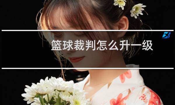 篮球裁判怎么升一级图片