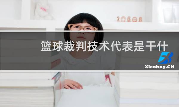 篮球裁判技术代表是干什么图片