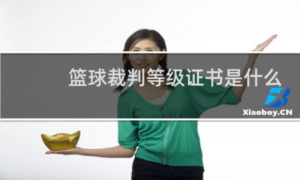 篮球裁判等级证书是什么图片
