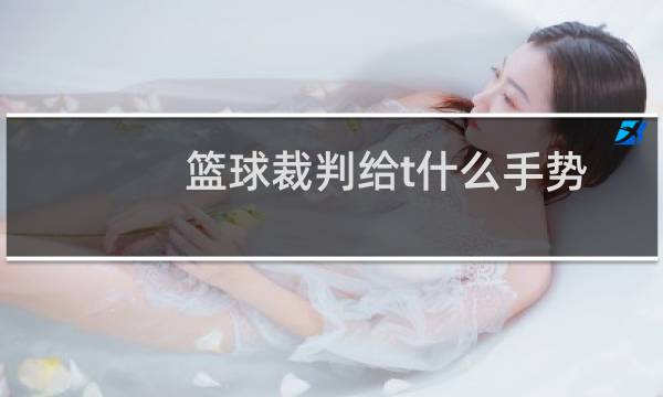 篮球裁判给t什么手势图片