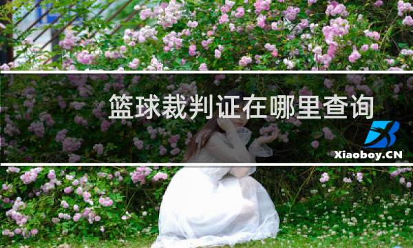 篮球裁判证在哪里查询图片