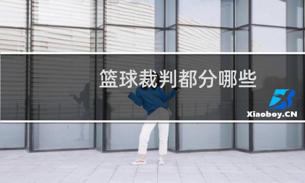 篮球裁判都分哪些图片