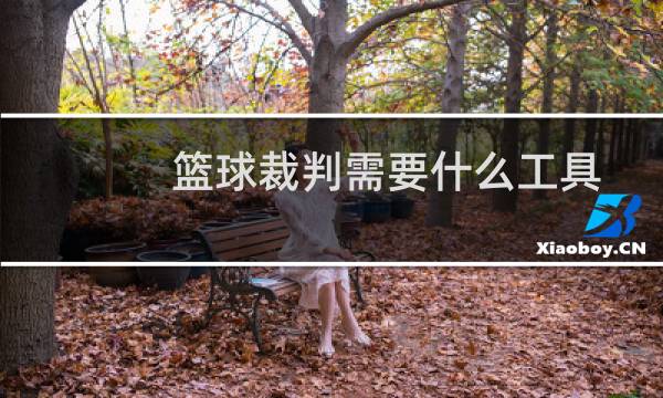 篮球裁判需要什么工具图片