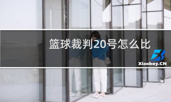 篮球裁判20号怎么比图片