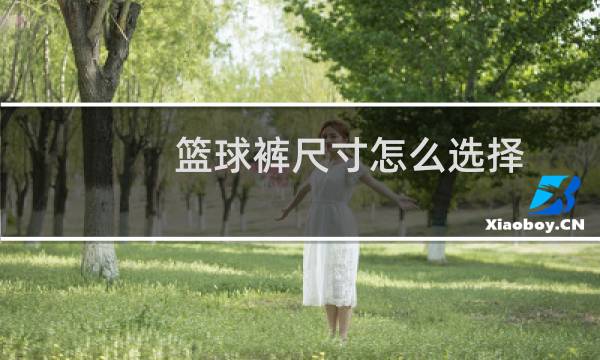 篮球裤尺寸怎么选择图片