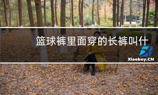 篮球裤里面穿的长裤叫什么图片