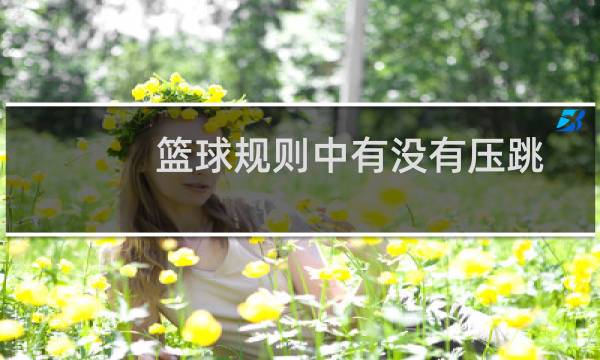 篮球规则中有没有压跳图片