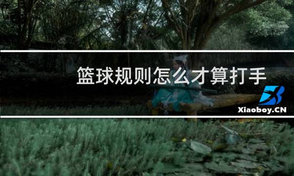 篮球规则怎么才算打手图片