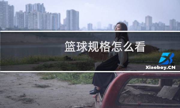 篮球规格怎么看图片