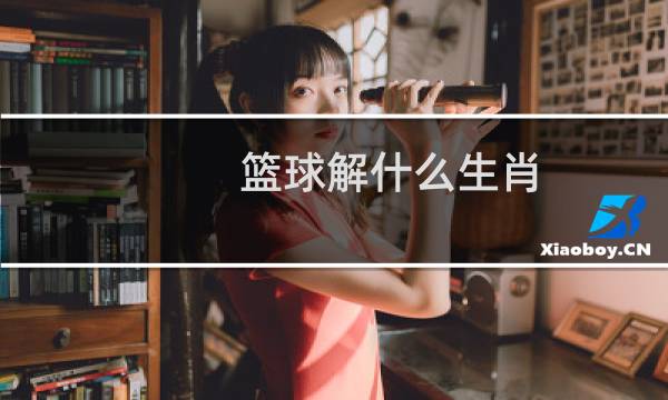 篮球解什么生肖图片