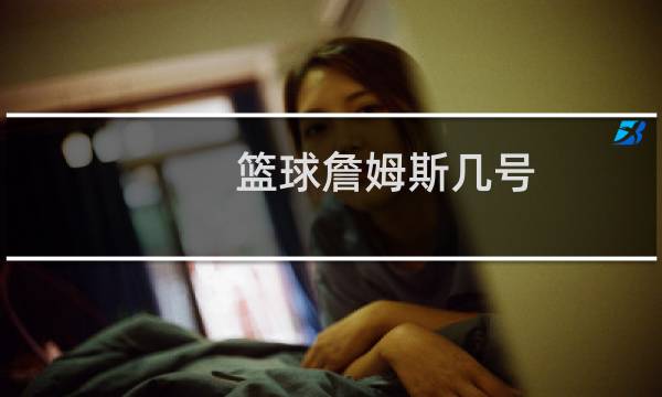 篮球詹姆斯几号图片