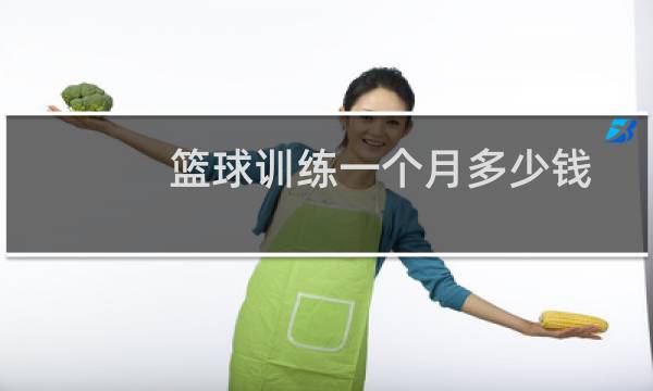 篮球训练一个月多少钱图片