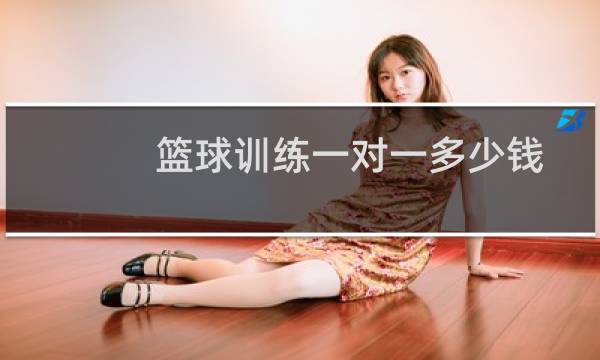 篮球训练一对一多少钱图片