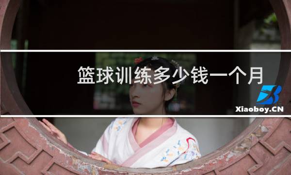 篮球训练多少钱一个月图片