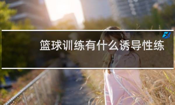 篮球训练有什么诱导性练习图片