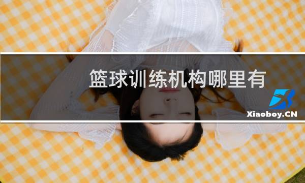 篮球训练机构哪里有图片