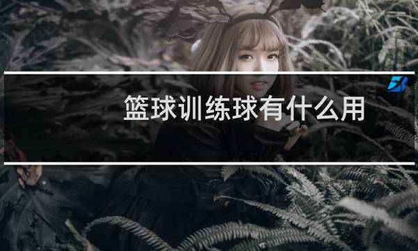 篮球训练球有什么用图片