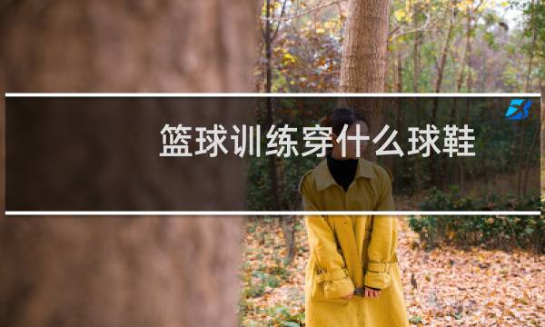 篮球训练穿什么球鞋图片