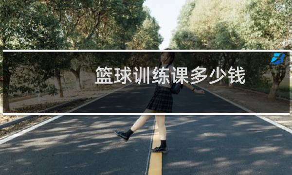 篮球训练课多少钱图片