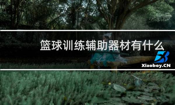 篮球训练辅助器材有什么图片