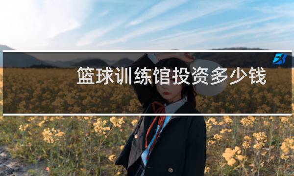 篮球训练馆投资多少钱图片