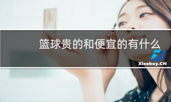 篮球贵的和便宜的有什么区别图片