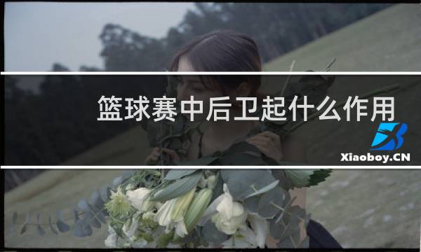 篮球赛中后卫起什么作用图片
