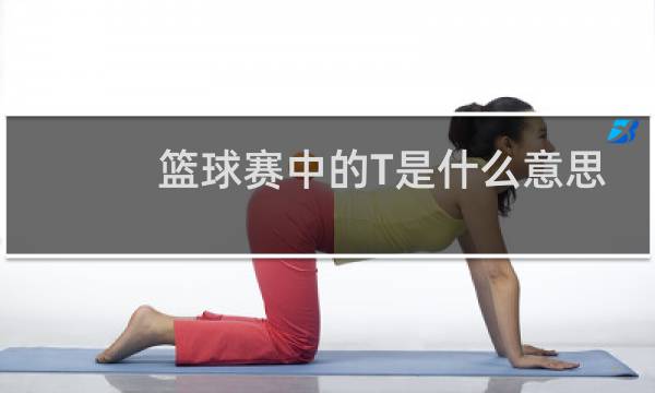 篮球赛中的T是什么意思图片