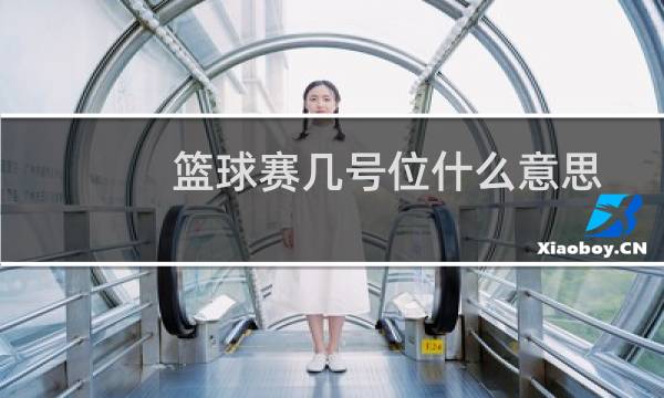 篮球赛几号位什么意思图片
