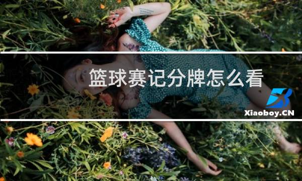 篮球赛记分牌怎么看图片