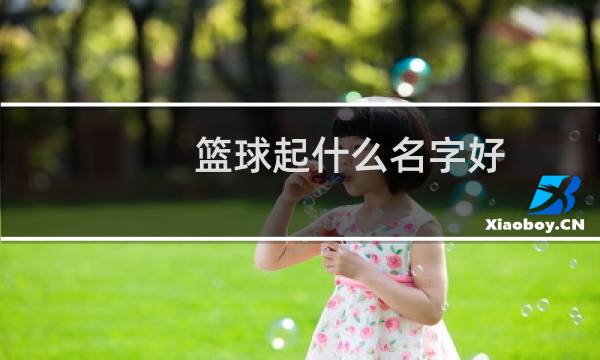 篮球起什么名字好图片