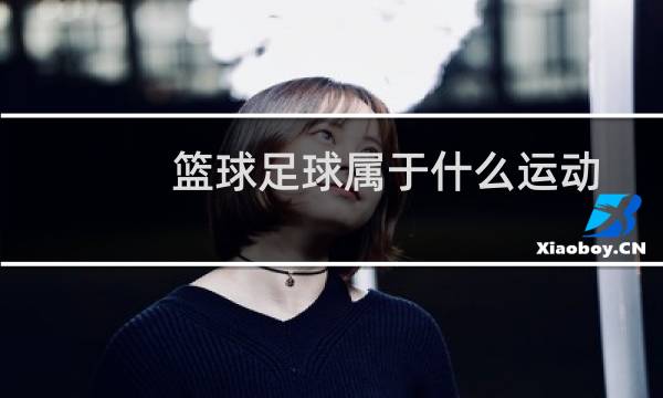 篮球足球属于什么运动图片