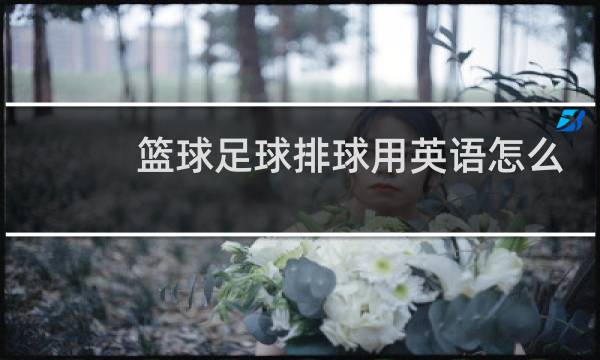 篮球足球排球用英语怎么读图片