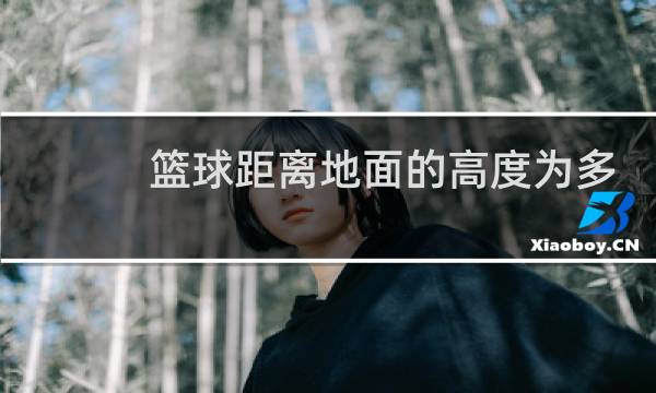 篮球距离地面的高度为多少米图片
