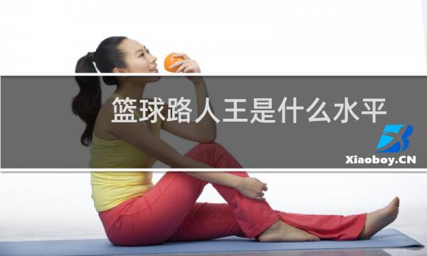 篮球路人王是什么水平图片
