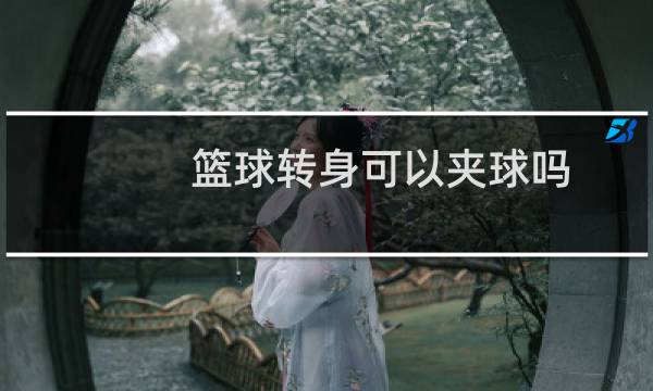 篮球转身可以夹球吗图片